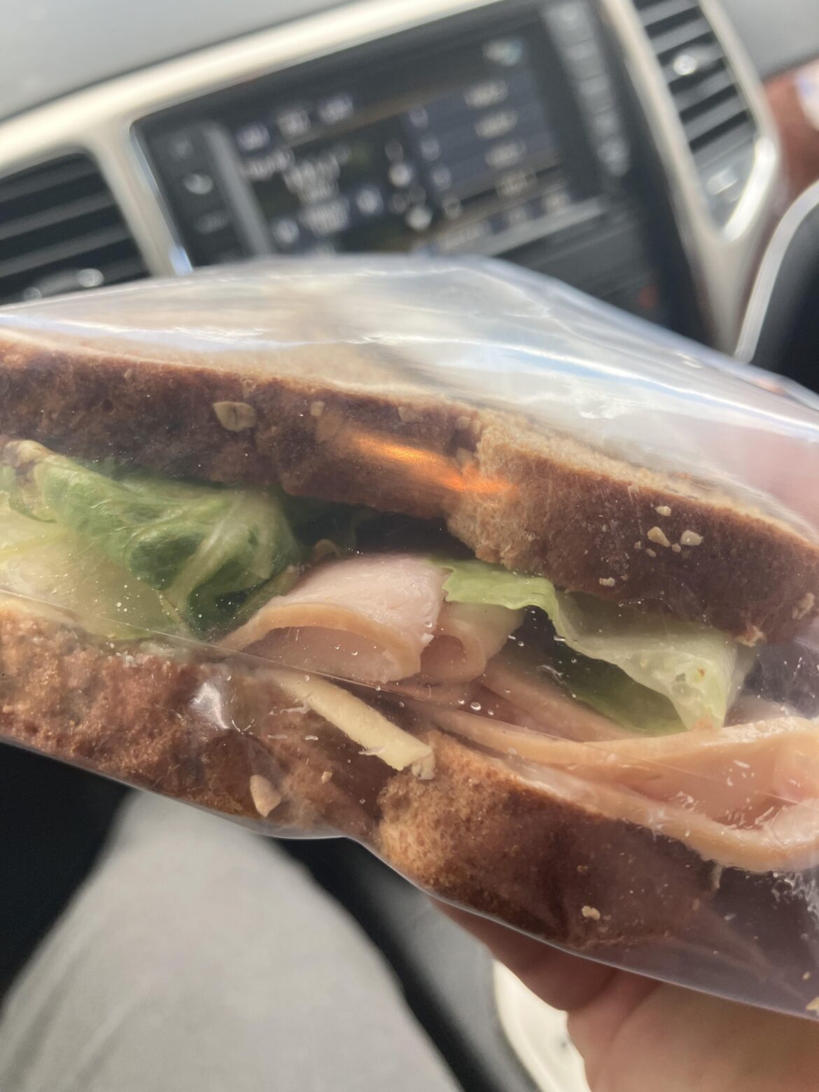 Should we just get fast food on the drive? No I’ll make us sandwiches for the road. Deli turkey,Gruyère, mayo, lettuce, seeded 12 grain