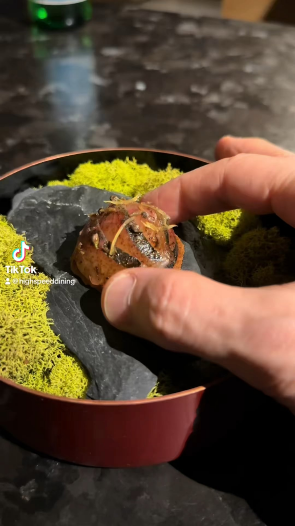 Rocks and moss. Oh great! How can this be sanitary?