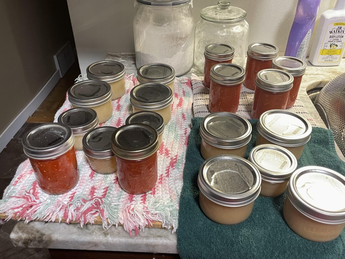 Feeling so proud of myself! All homegrown apples and tomatoes. I made apple sauce and tomato sauce.