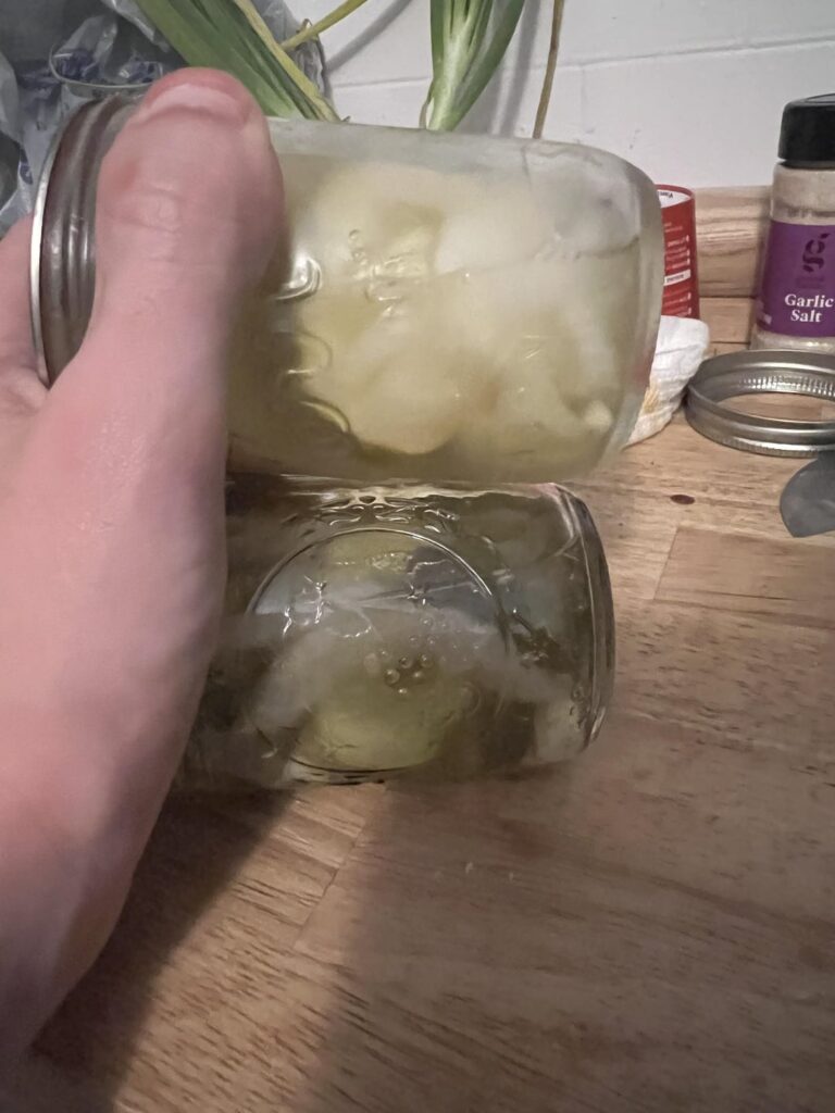 One of my pickle jars is cloudier than the other, cause for concern? I threw the cloudy one in the fridge. Canned last Thursday. Pickle, jalapeño, onion, and garlic. Brine was about 1/4 vinegar and sufficient salt according to a recipe from the ball preserving book. One of my pickle jars is cloudier than the other, cause for concern? I threw the cloudy one in the fridge. Canned last Thursday. Pickle, jalapeño, onion, and garlic. Brine was about 1/4 vinegar and sufficient salt according to a recipe from the ball preserving book.