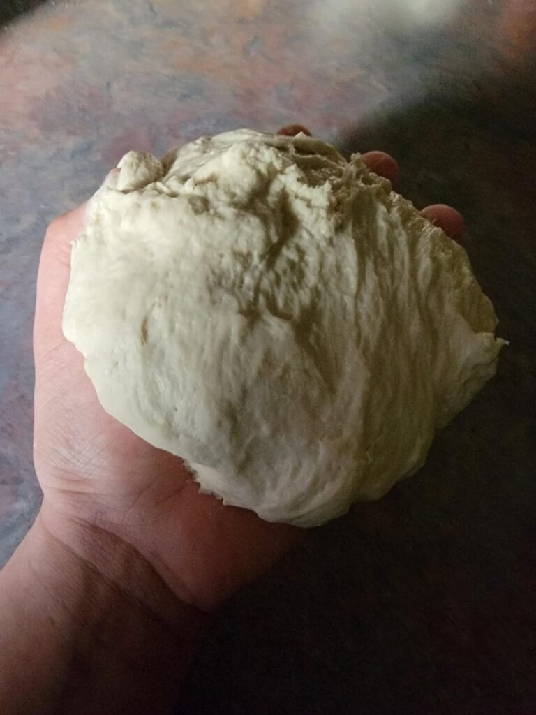 2ND ATTEMPT: Making Kenji's new york pizza dough, does it look okay?