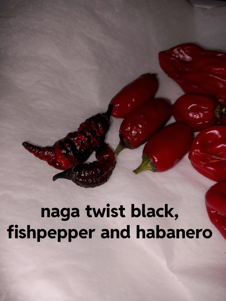 Naga twist black , fish pepper and h1banero
