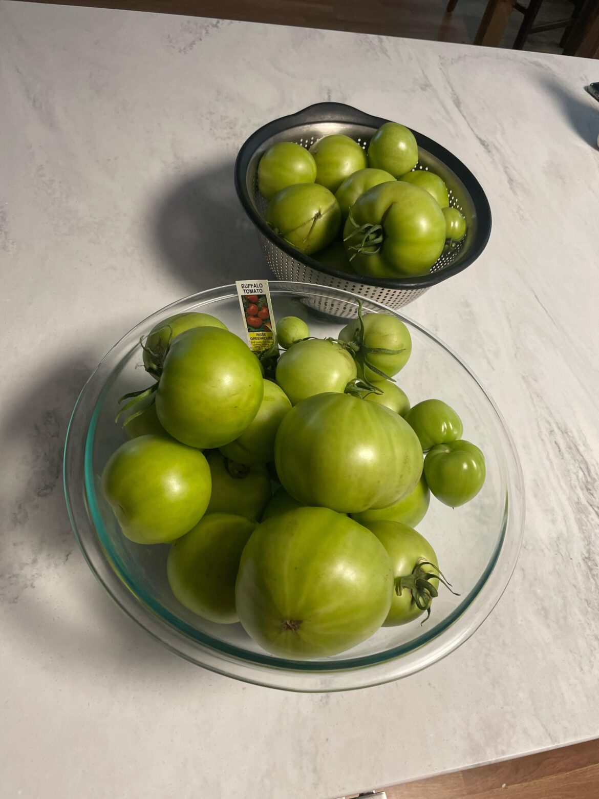 I grew all these Buffalo tomato’s what do I do?? I grew all these Buffalo tomato’s what do I do??