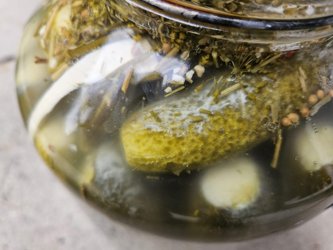 Is this safe to eat?