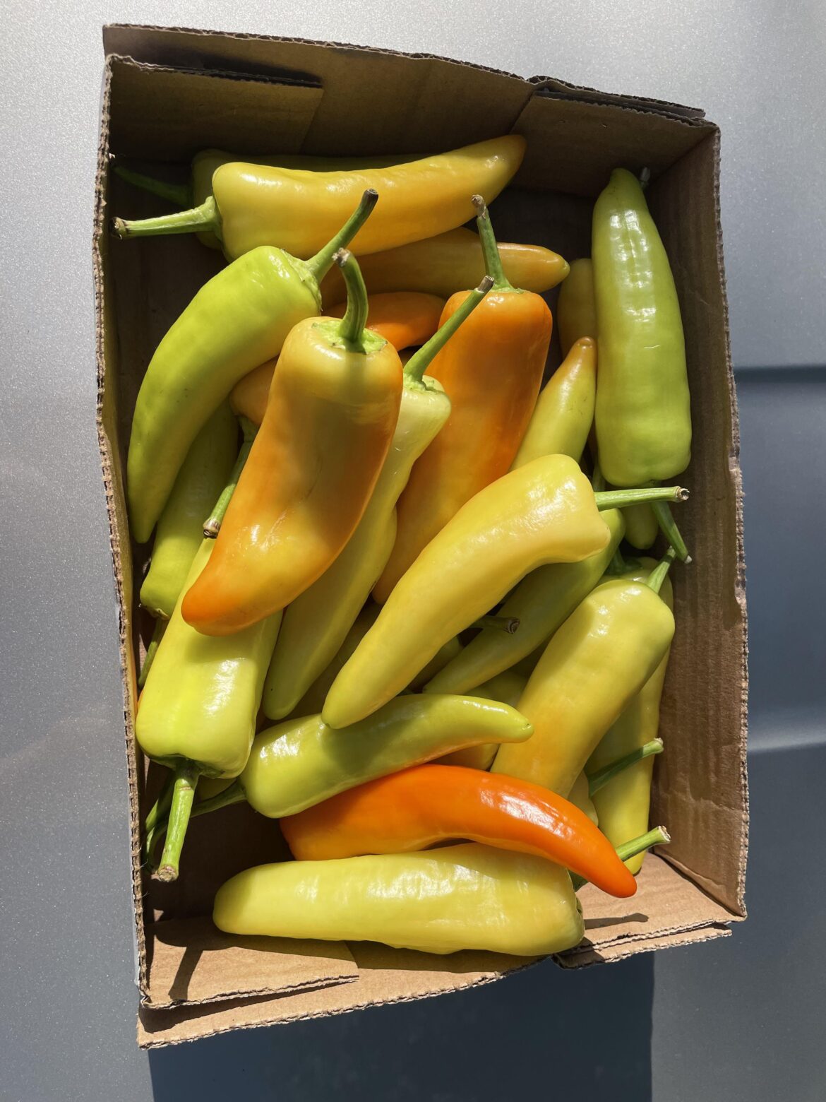 What are these and what can I do with them?