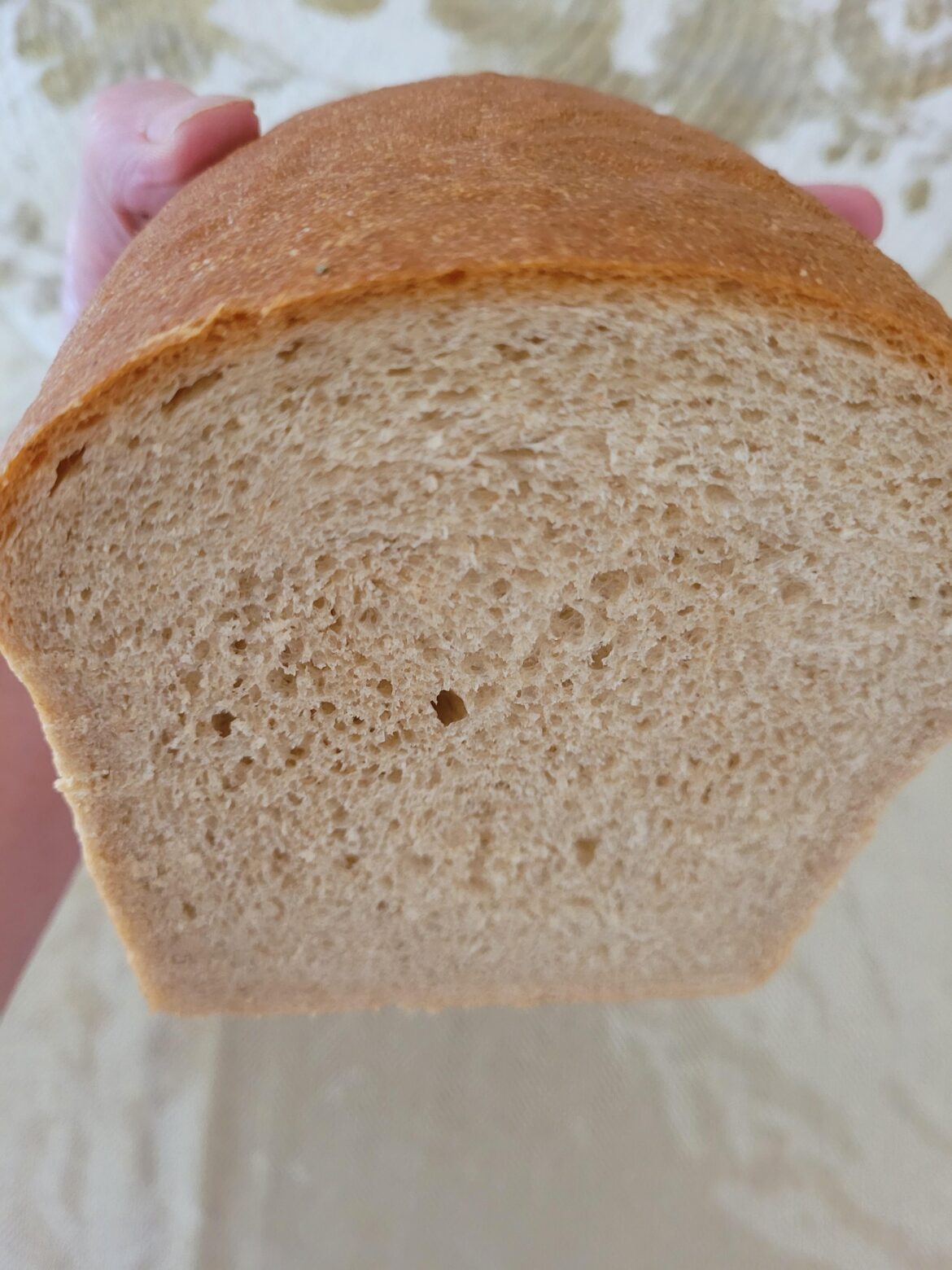 Fresh sandwich loaf! King Arthur classic sandwich bread made with 50% white whole wheat.