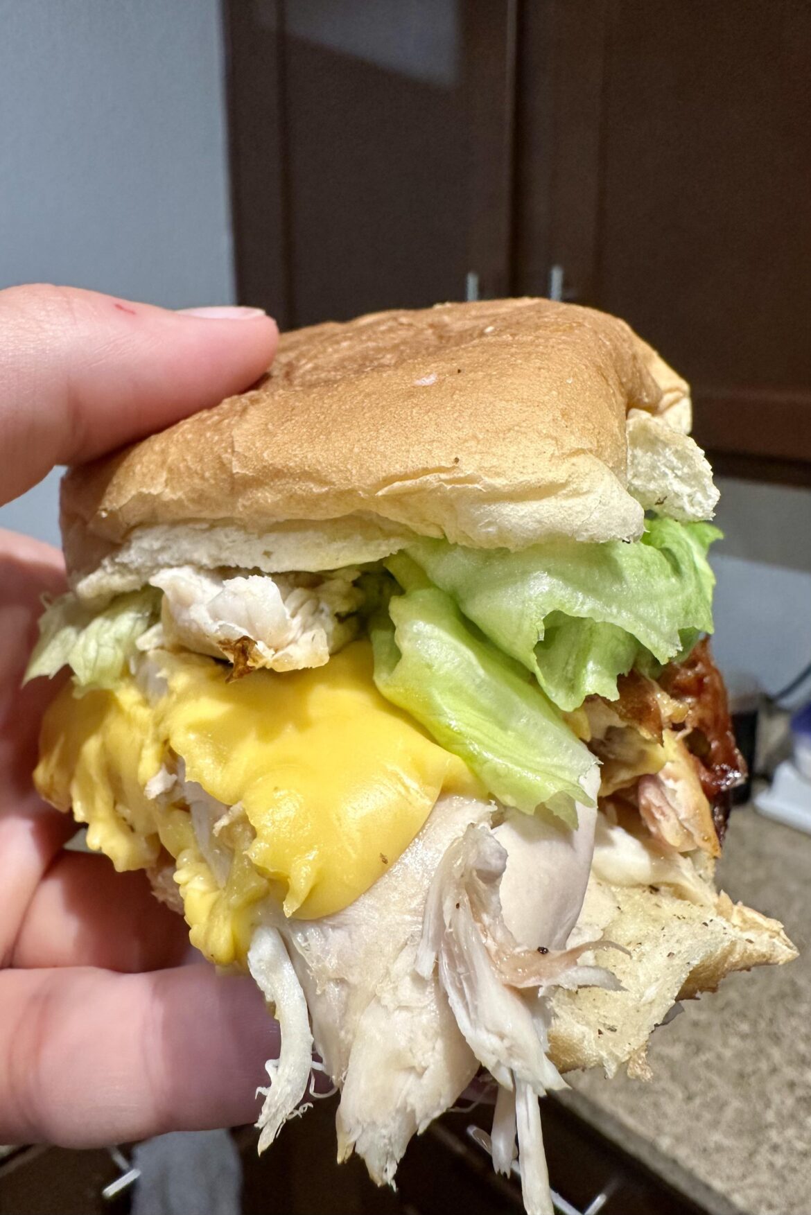 Rotisserie chicken and cheese sandwich