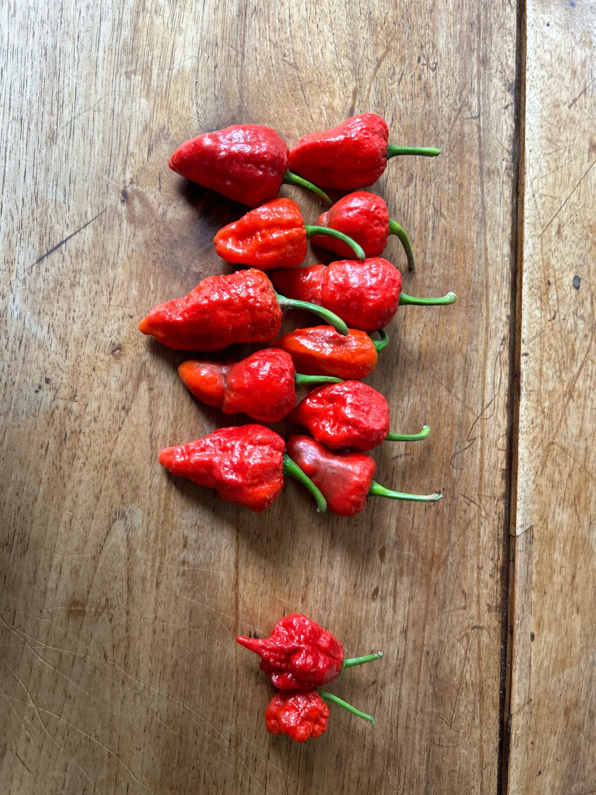 Reapers on the right. On the left are…?