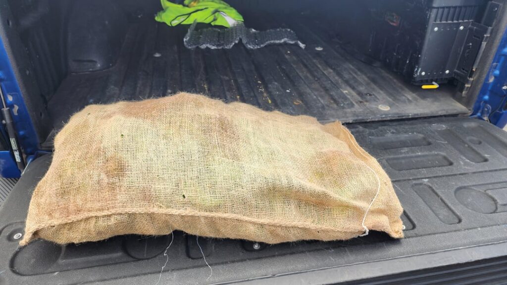 Christmas in August!