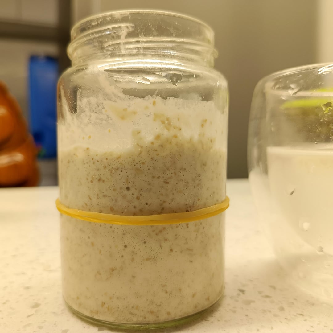 my-whole-wheat-starter-doubled-in-size-after-first-feeding-is-this