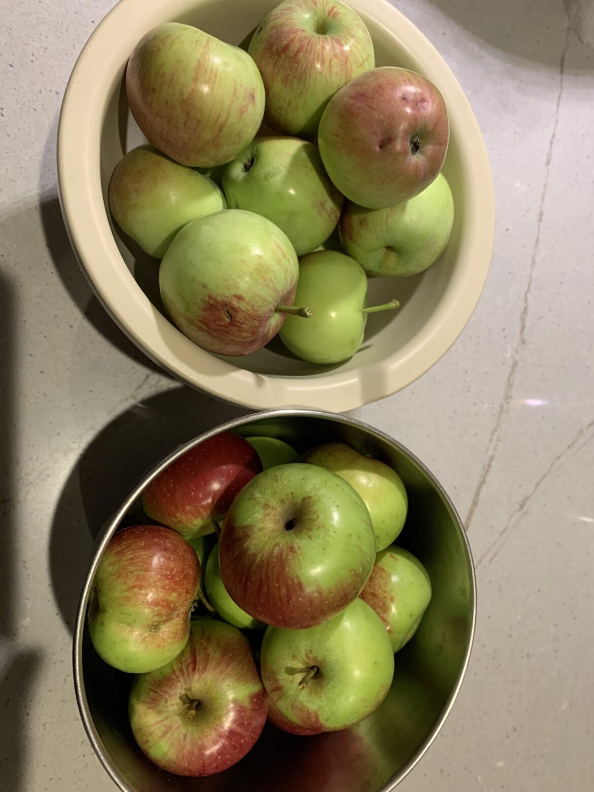 Ultimate budget food. Free apples in the neighborhood.