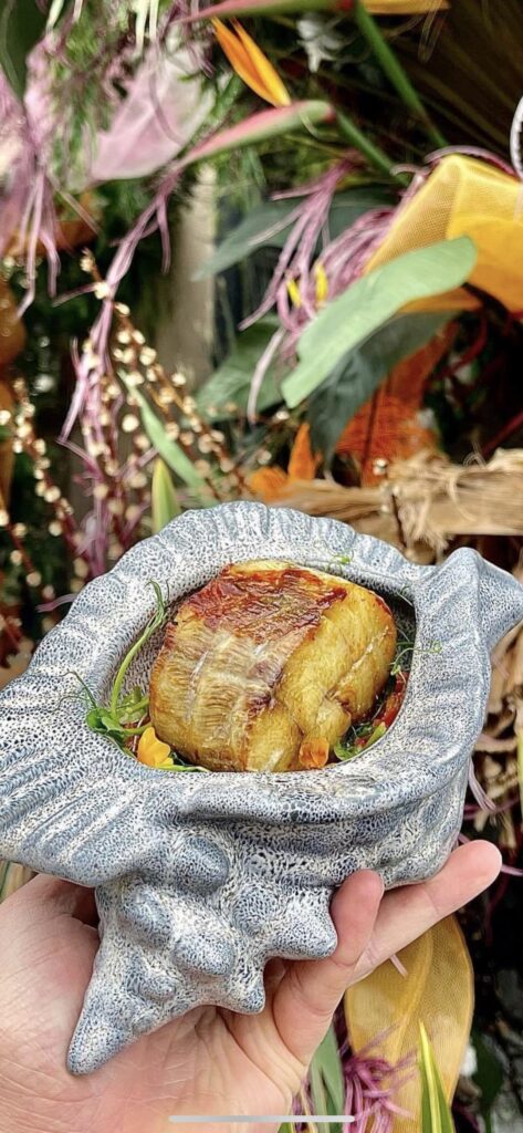 Risotto & Stone bass ….. in a conch