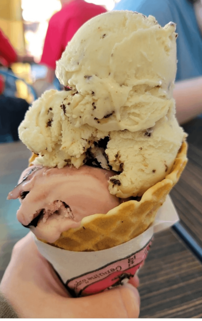 Vanilla chocolate chip and black cherry ice cream.