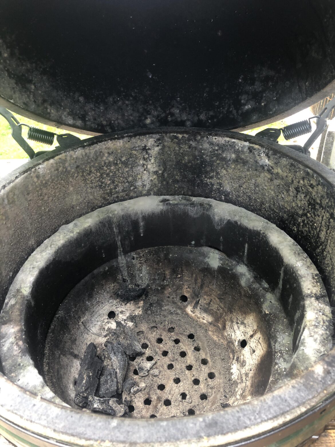 Moldy green egg Moldy green egg