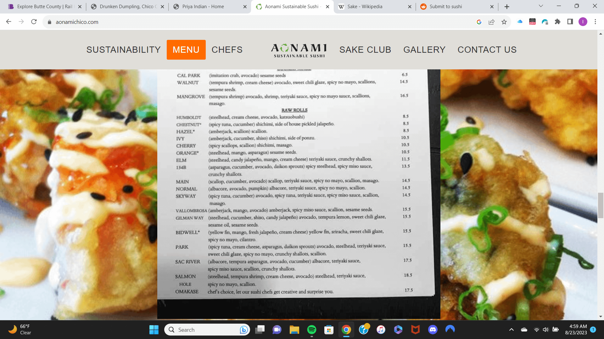 What are the items in parentheses and the items outside them in sushi ...