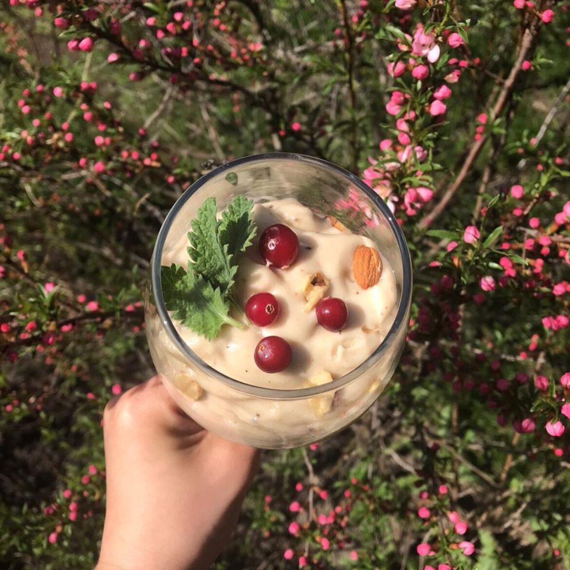 Banana ice cream with nuts and berries