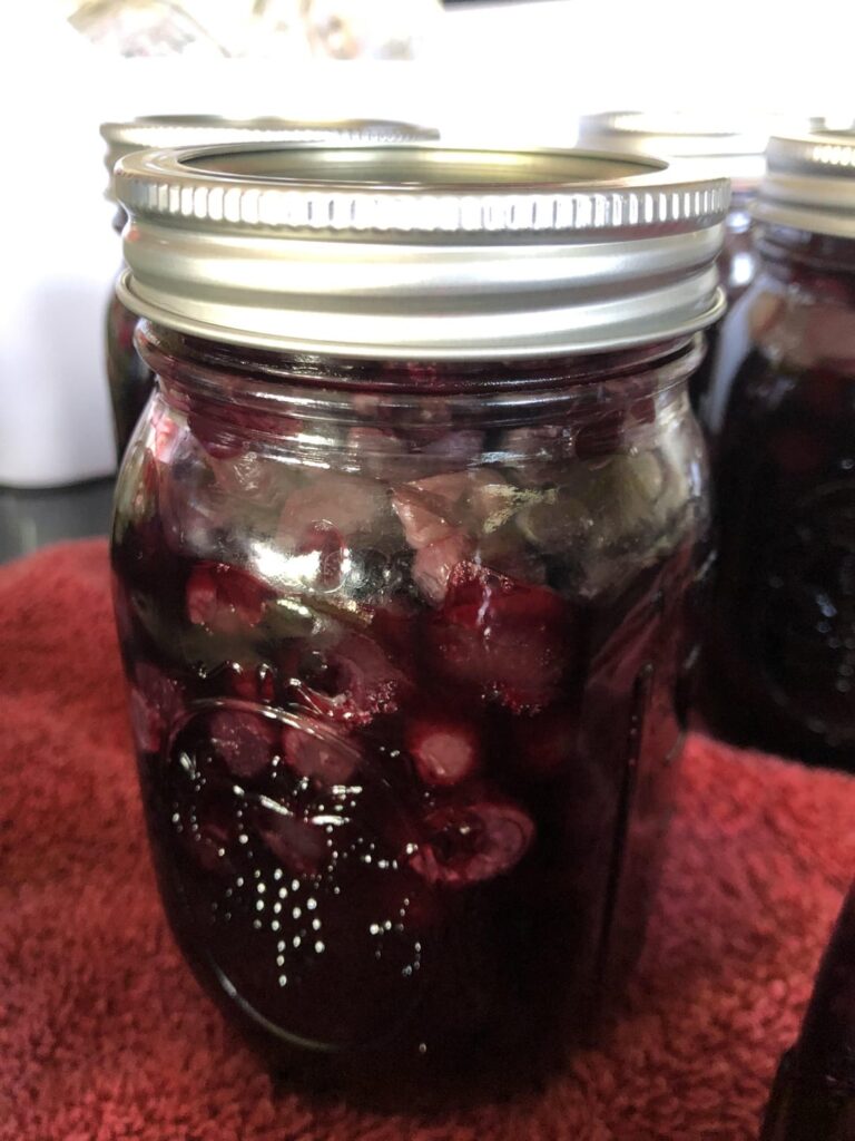 Blueberry canning Blueberry canning