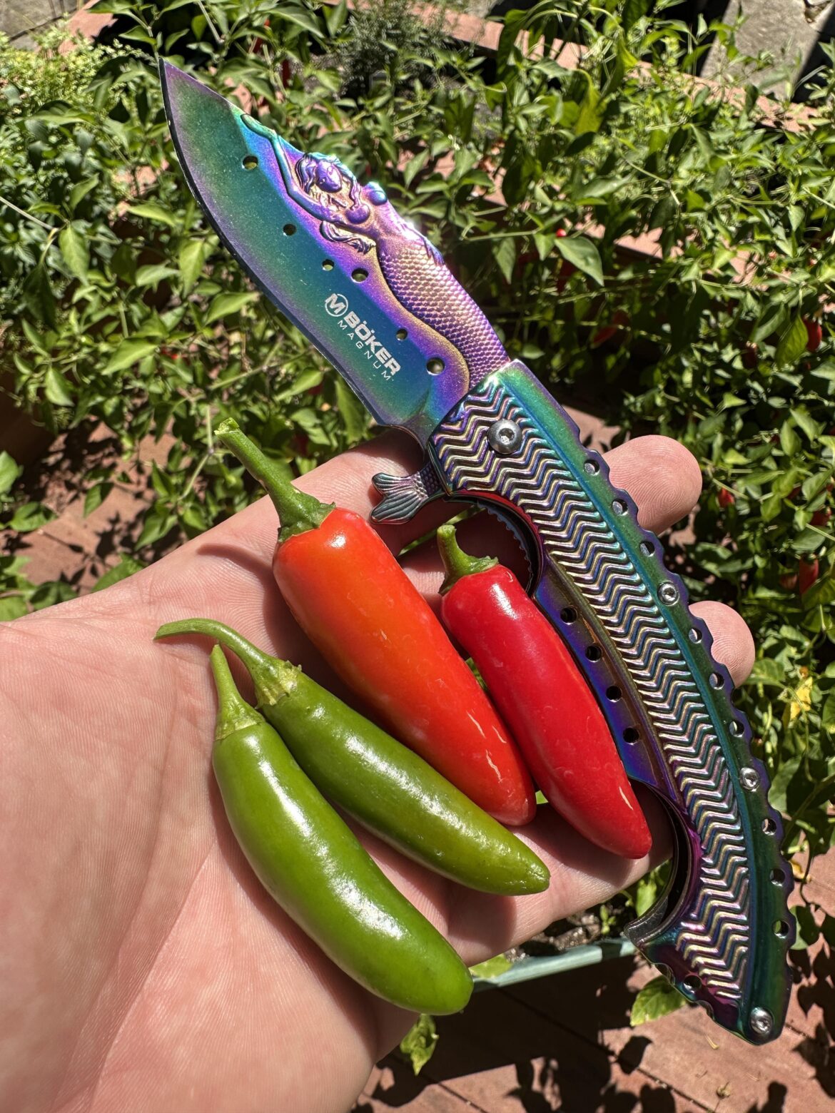 is there a benefit to pulling serranos when they’re green?