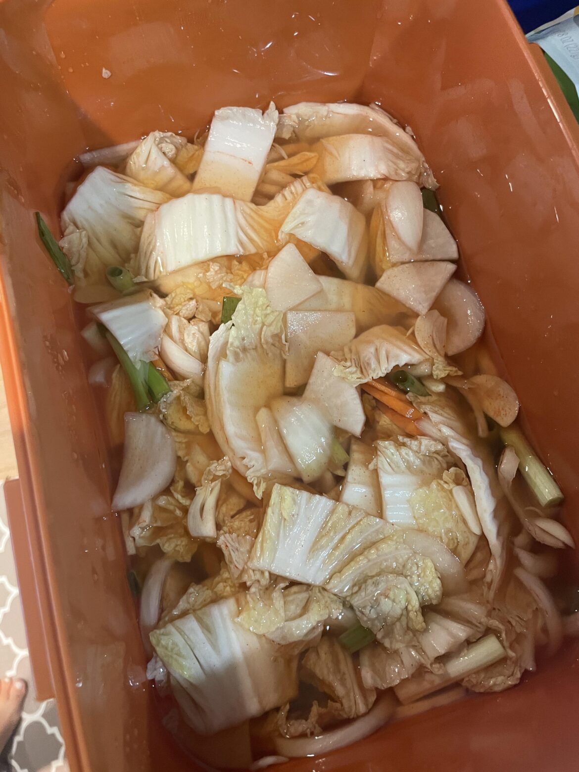 Nabak Kimchi for summer
