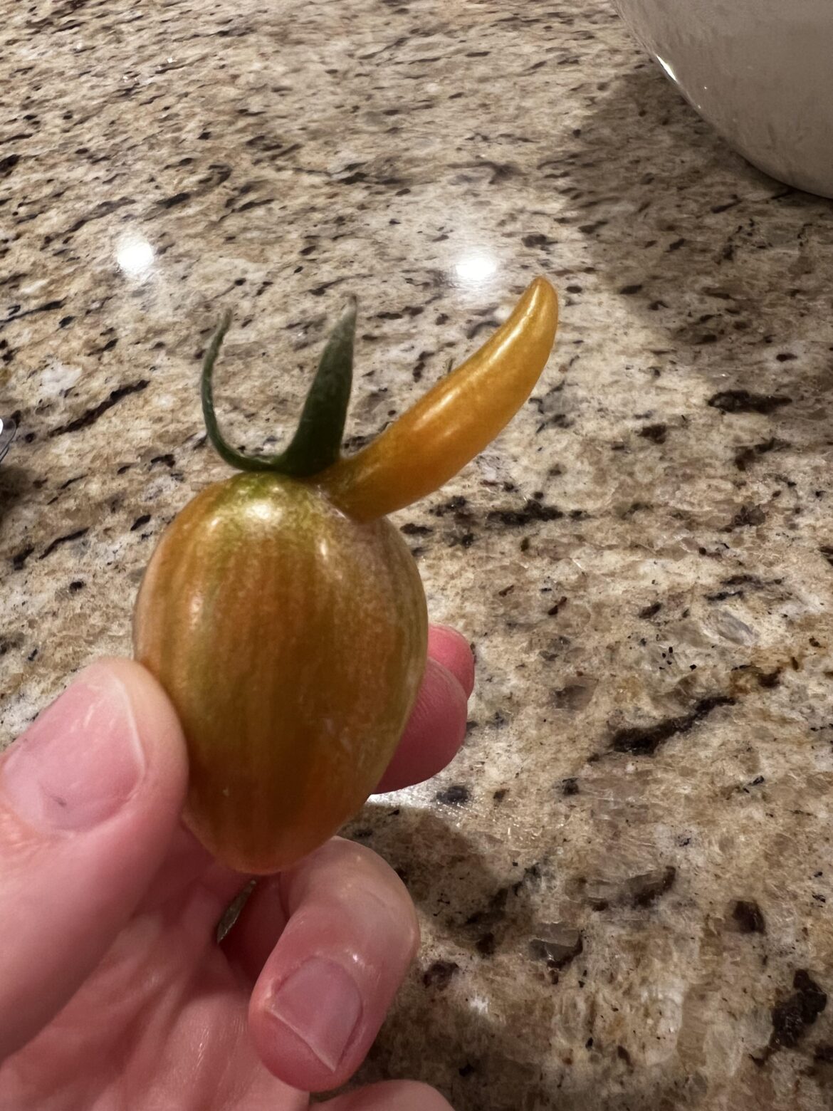 Your guess is as good as mine…anyone seen this before?