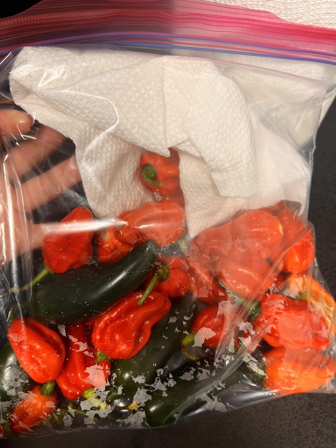 Boss gave me bunch of habanero peppers. What can I make??