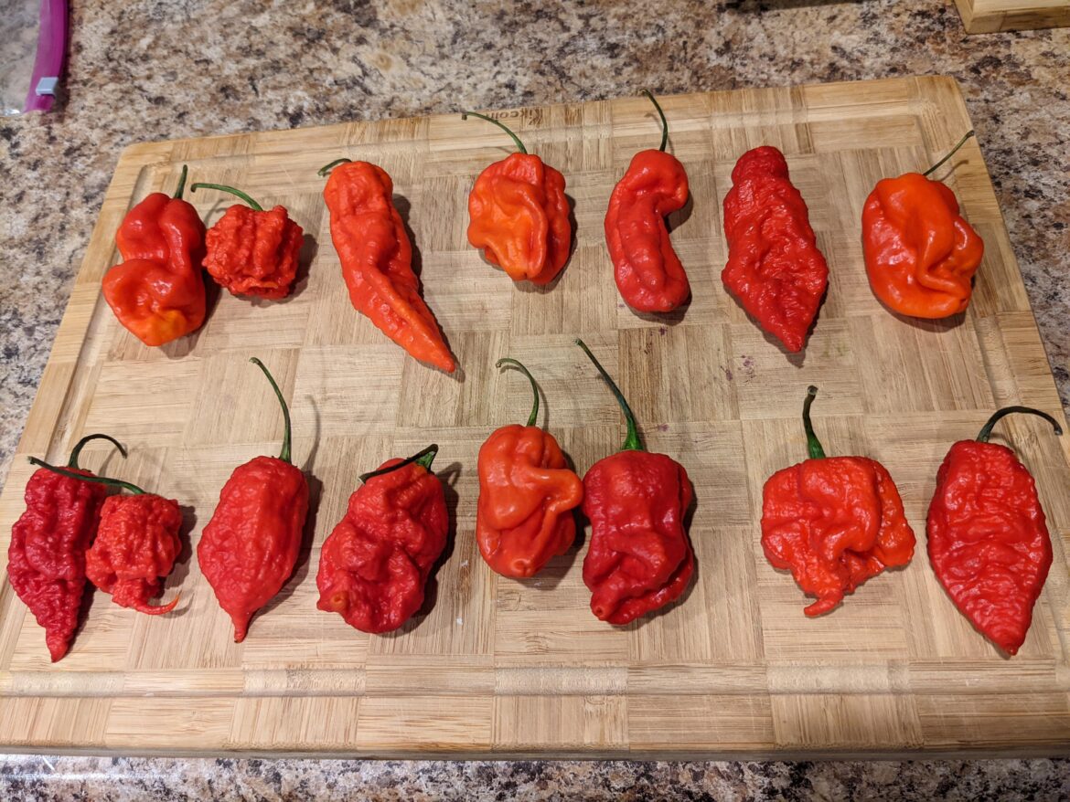 Just got this assorted pack of super hots, without any labels or anything. Any help identifying these? Supposed to be a reaper, scorpion, ghost, etc.