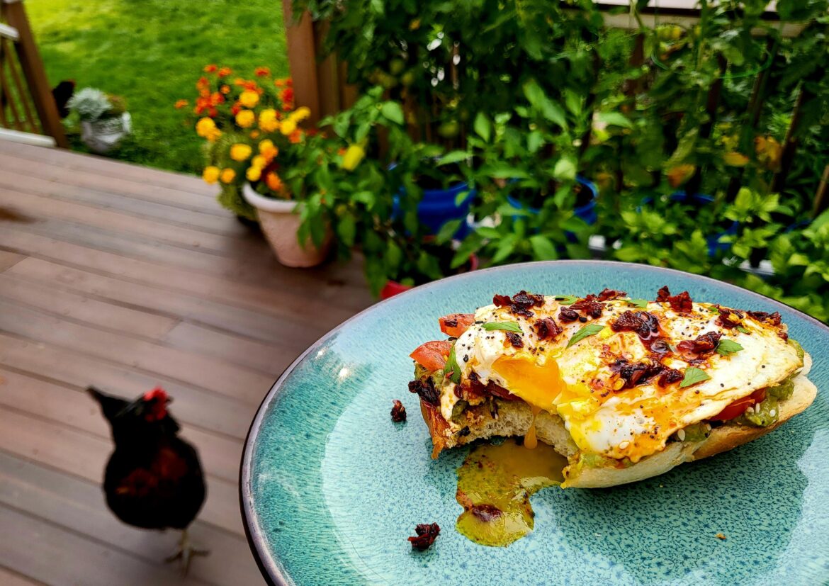 fancy avocado toast will never be overrated to me, but eating it on the deck with the girls does make it better!