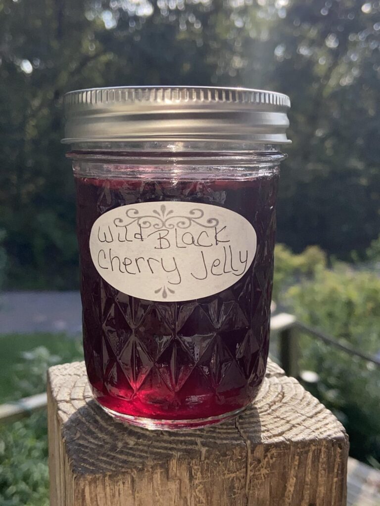 Wild Black Cherry Jelly