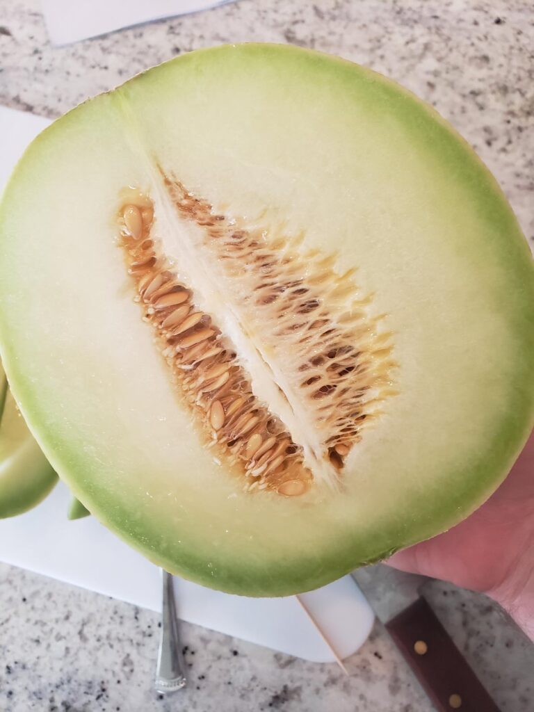 Bought this "cantaloupe" why is it green? Safe to eat?