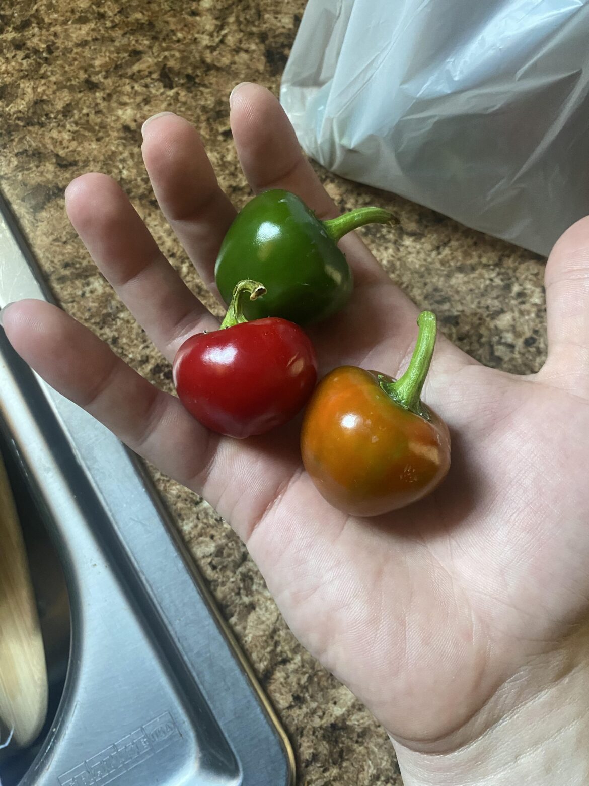 Can anyone identify?