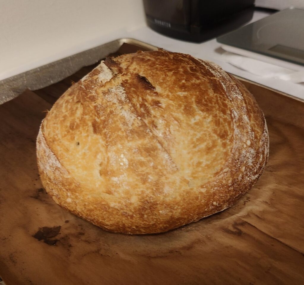 Meet Mr. Loafy. Mr. Loafy is my first attempt at making bread.