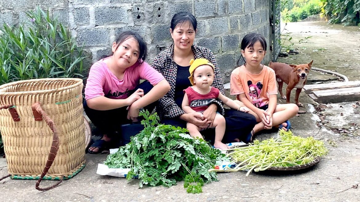Harvest Vegetable Garden Bring to market to sell - Garden - Lê Thị Tâm