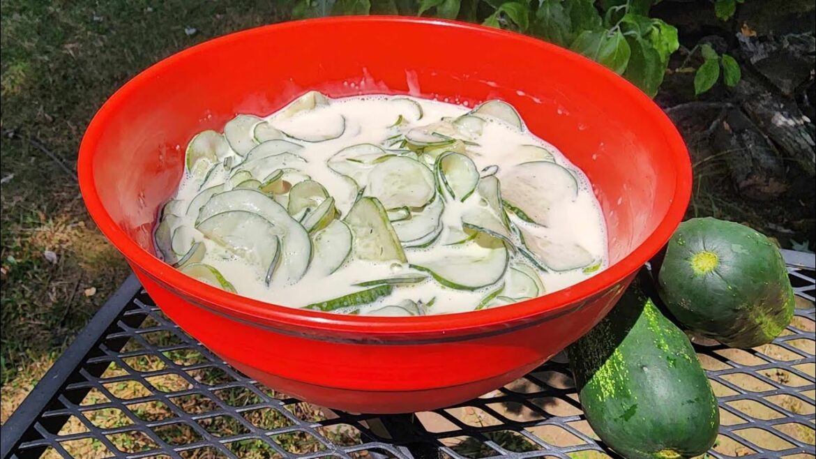 Cool Creamy Cucumber Salad Recipe – Easy & Delicious -Refreshing Summer Side – The Hillbilly Kitchen Cool Creamy Cucumber Salad Recipe – Easy & Delicious -Refreshing Summer Side – The Hillbilly Kitchen