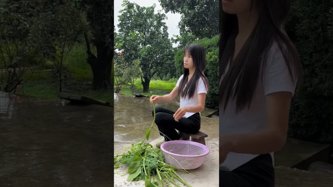 #gardenlife #fruit #fruitgarden #reels #easy #bamboogarden #vegetablegardening #eating #rural