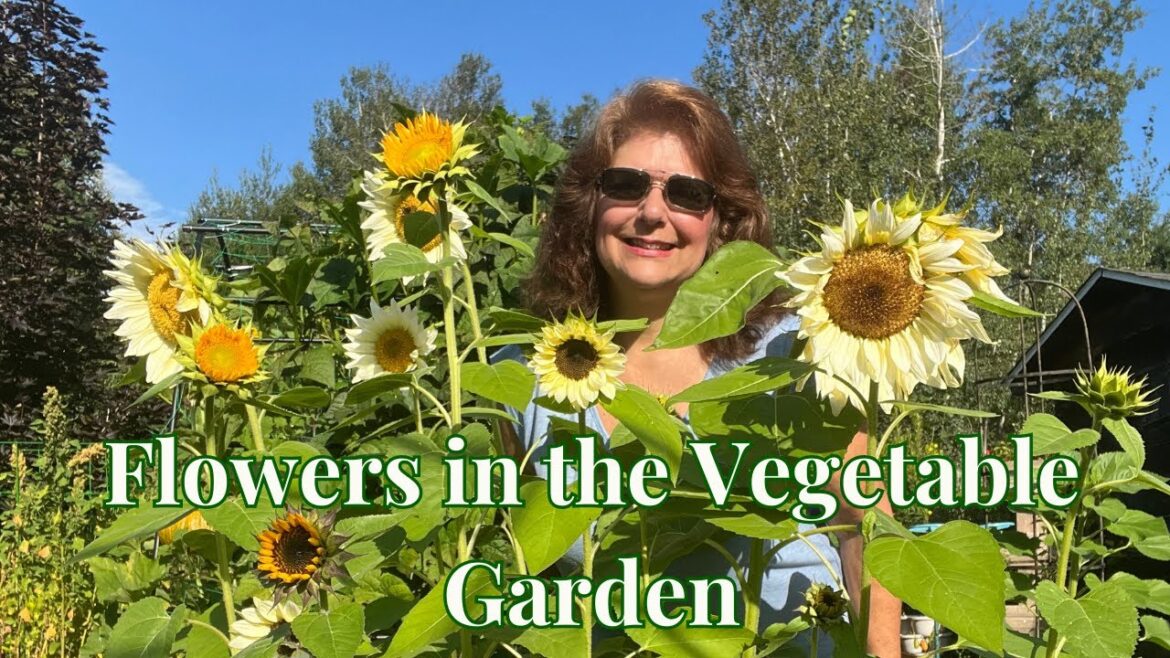 Flowers to plant in Vegetable Garden (Why?) // Gardening at the Simongetti North Flowers to plant in Vegetable Garden (Why?) // Gardening at the Simongetti North