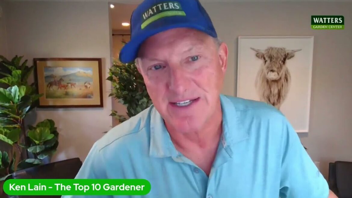 Second Hand Smoke Kills the Vegetable Garden and How to Prevent the Disease Second Hand Smoke Kills the Vegetable Garden and How to Prevent the Disease