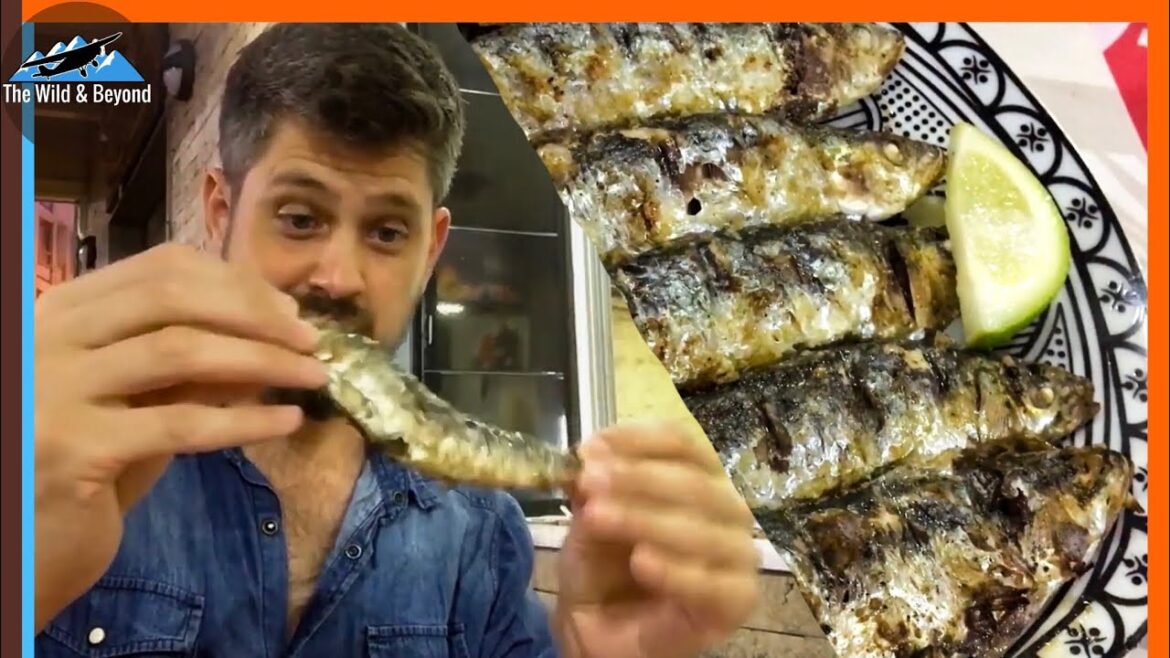 Fresh Charcoal Grilled Moroccan Sardines (Morocco Food Tour Segment)