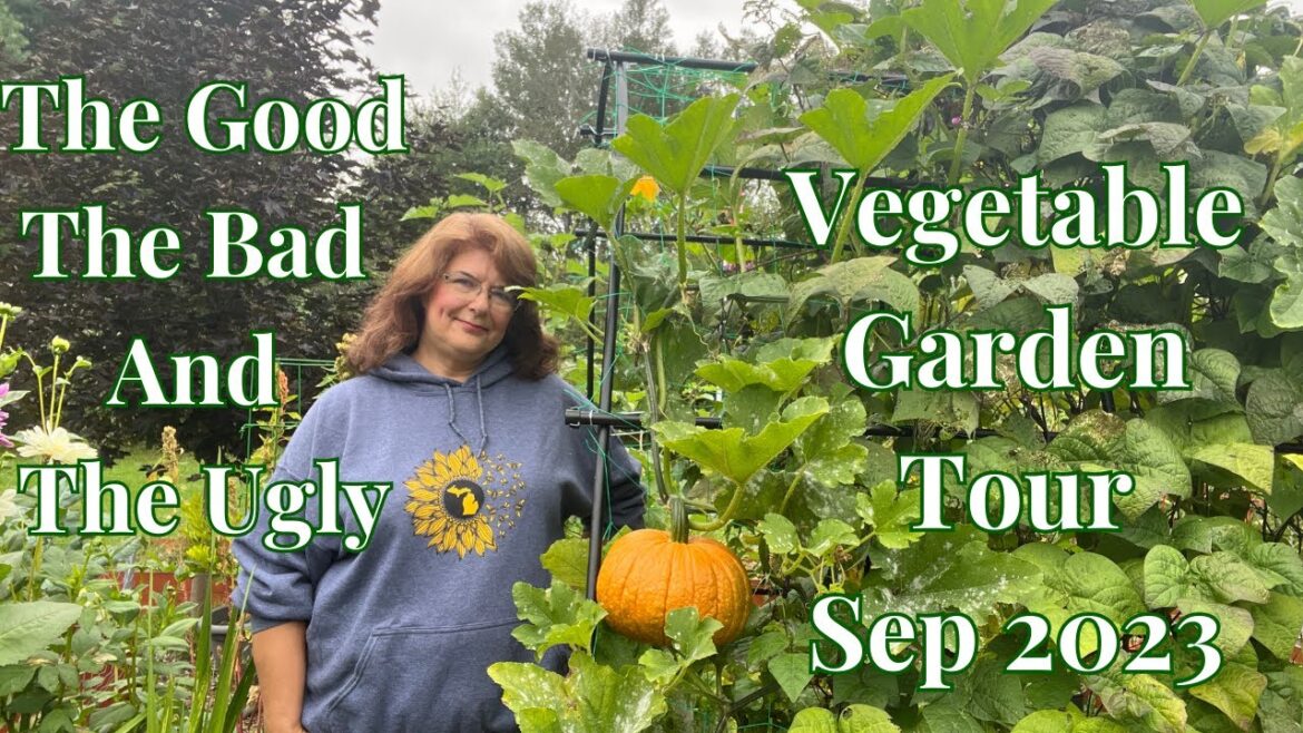 Vegetable Garden Tour 2023 // Gardening at the Simongetti North Vegetable Garden Tour 2023 // Gardening at the Simongetti North