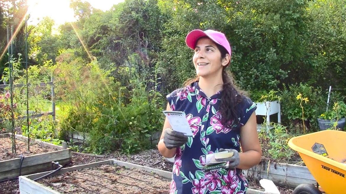 What I’m Planting This Fall in Our Vegetable Garden What I'm Planting This Fall in Our Vegetable Garden