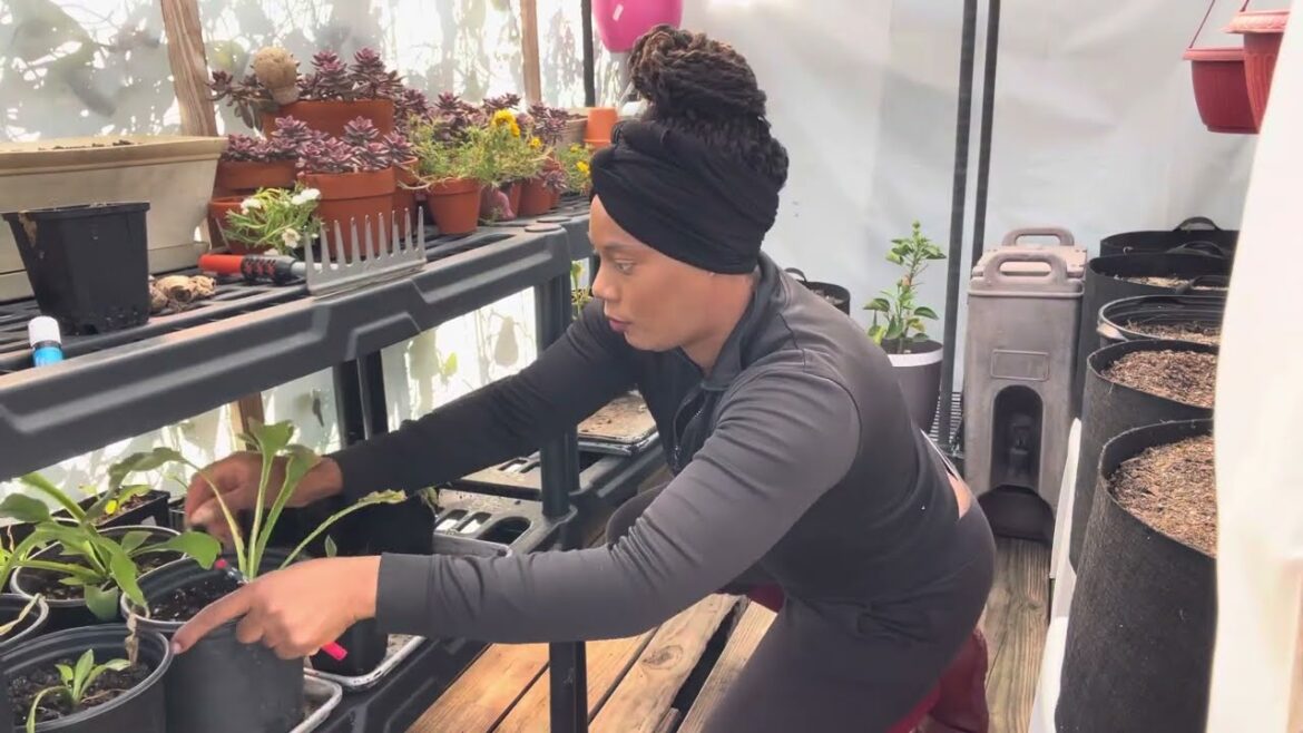 Vegetable Garden Clean With Me  Planting 2023…. Beautee In The Garden Suburban Homestead Vegetable Garden Clean With Me  Planting 2023.... Beautee In The Garden Suburban Homestead