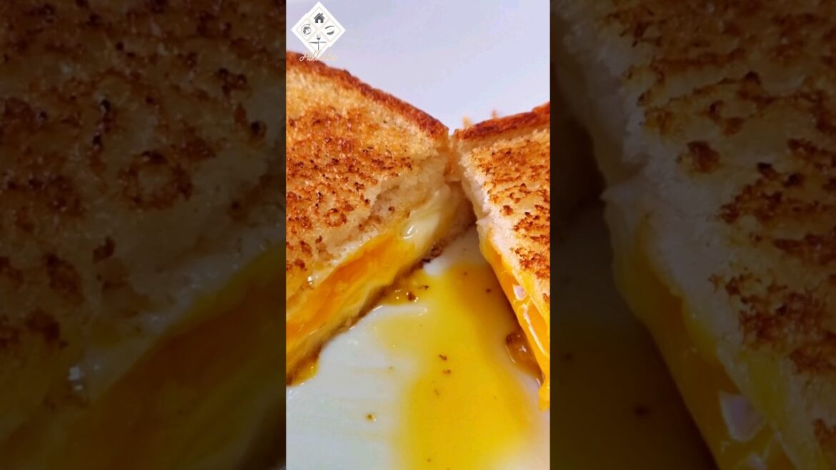 Best FRIED EGG Sandwich #shorts #cooking Best FRIED EGG Sandwich #shorts #cooking