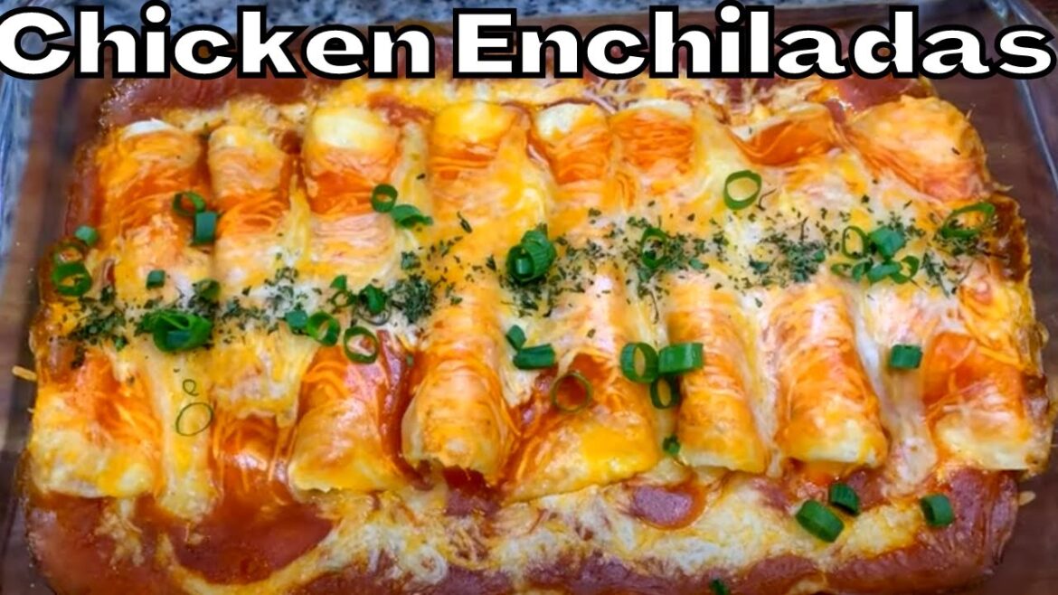 How to make Chicken Enchiladas Recipe