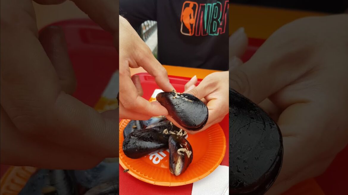 Shell | Popular Turkish seafood | Turkish street food