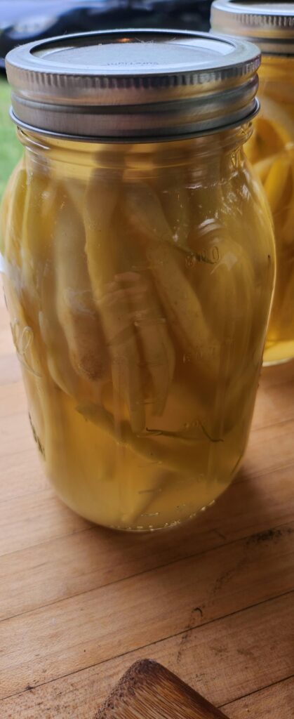 My beans are bad? My beans are bad?