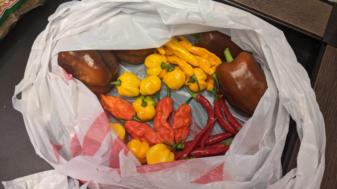 First time growing peppers, here's our bounty! Looking for recipes to throw these into.