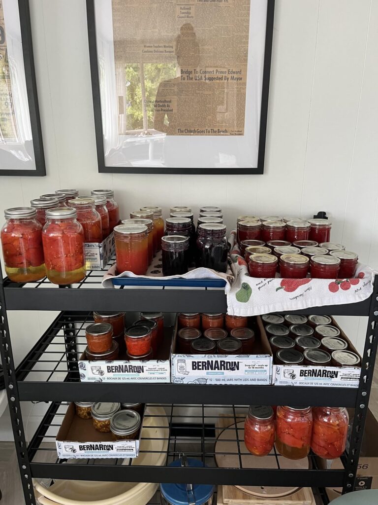 This year’s weekend of canning: finished haul!