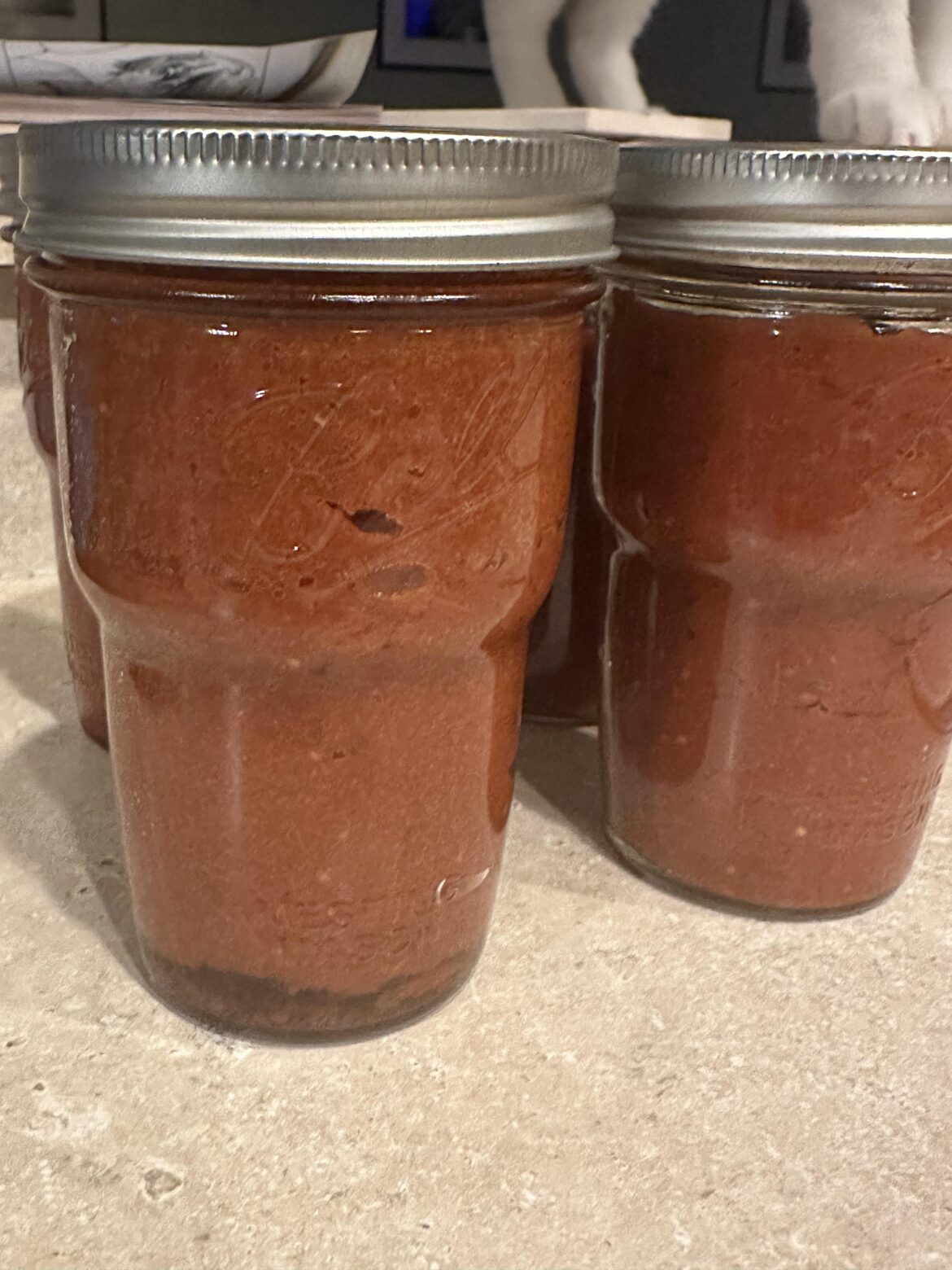 Home made Spaghetti sauce