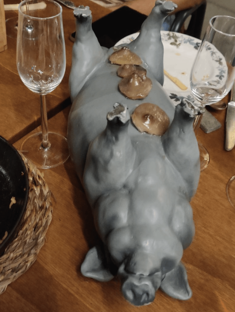 Pig nips on a pig's nips