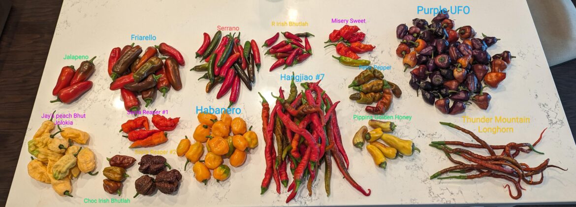 What an overabundance, who wants some?!?