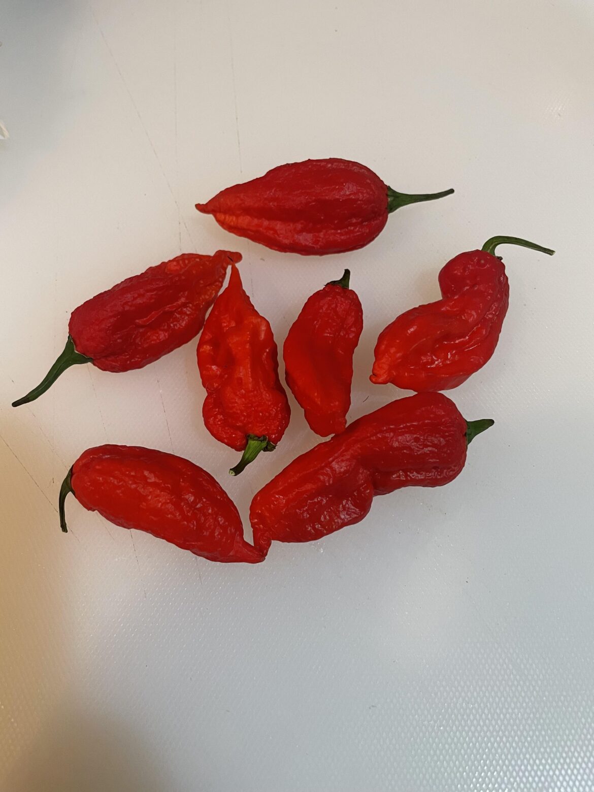 What type of pepper is this?